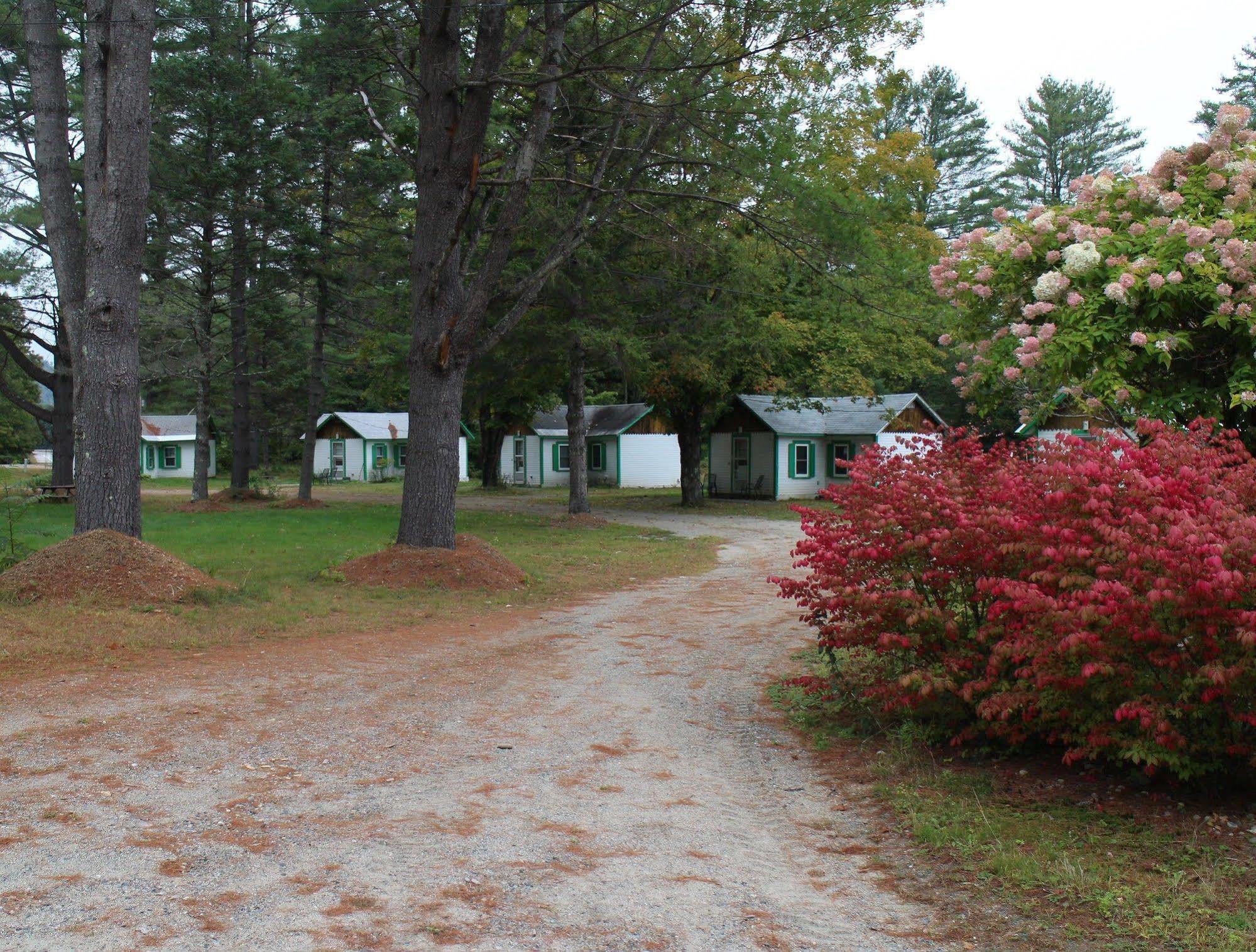 Pine Valley Cabins Thornton Zewnętrze zdjęcie